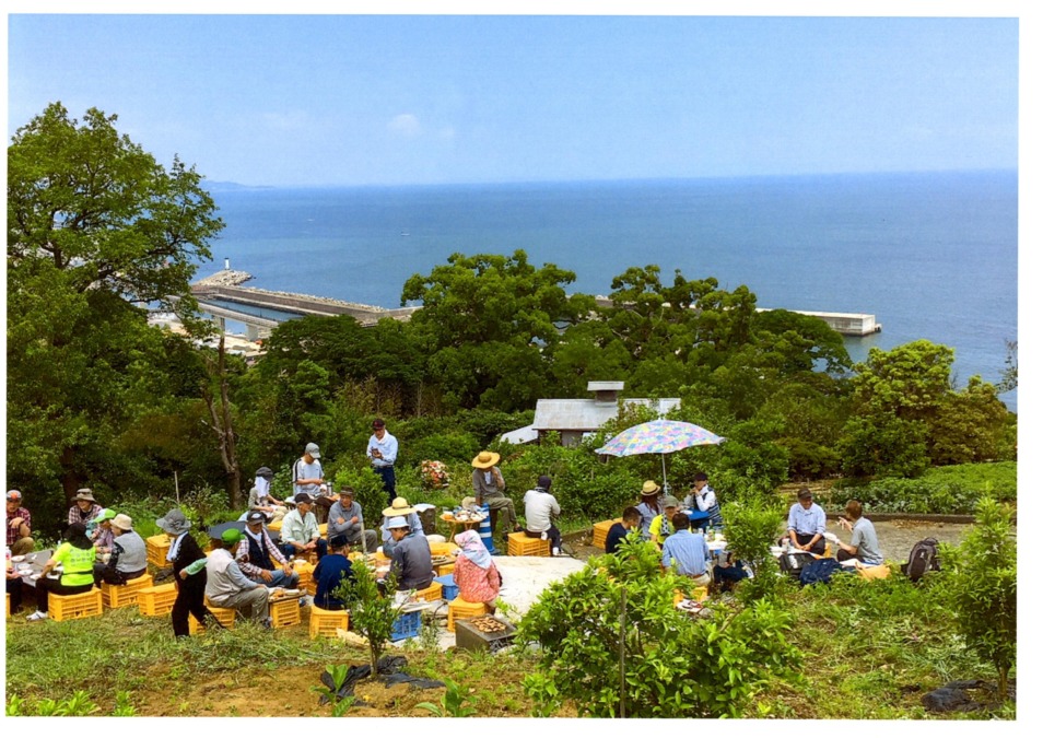 【同好会・みかん農園（2019/5/26）】青空バーベキューを開催しました。