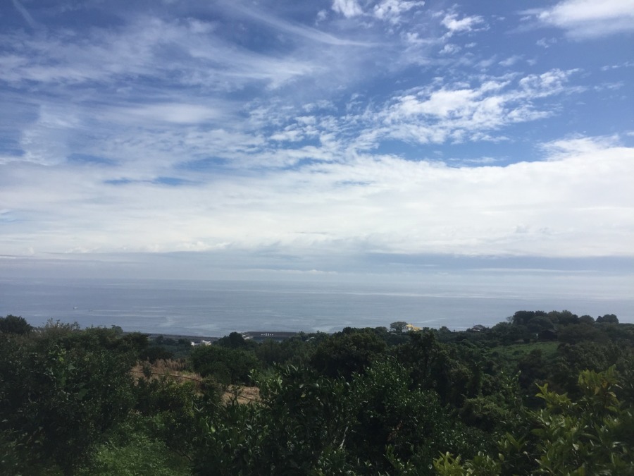 【日当たりの農園】ドローン空撮（テスト）