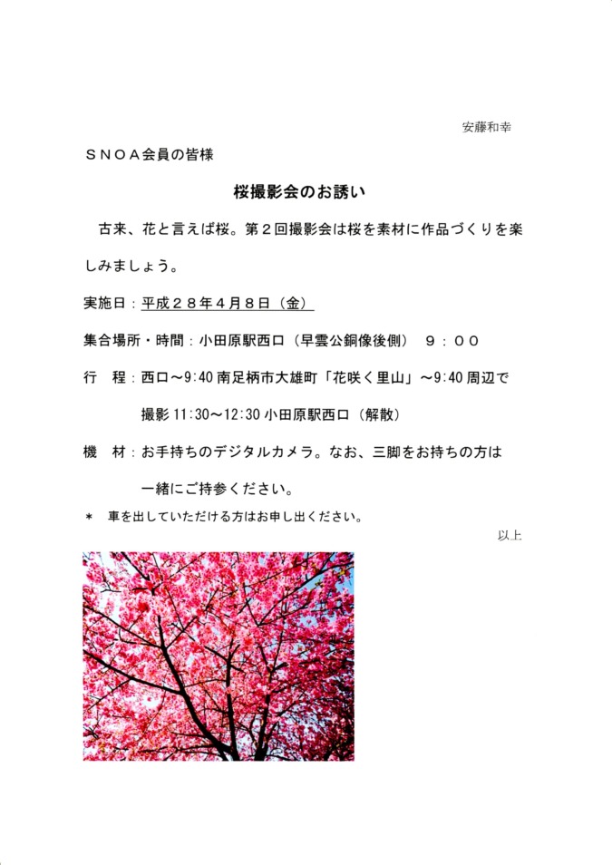 【同好会（2016/4/8）】桜撮影会を開催しました。