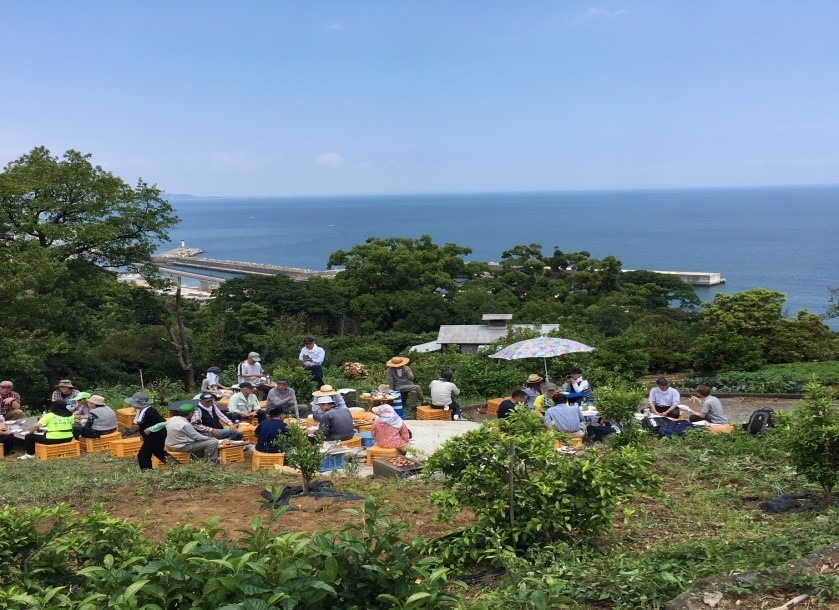 【無事完了：5/26（日）作業】支柱・防除・除草