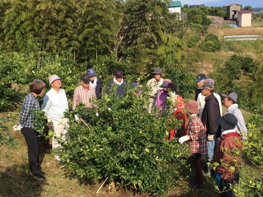 【無事完了：3/24（日）作業】施肥・剪定など