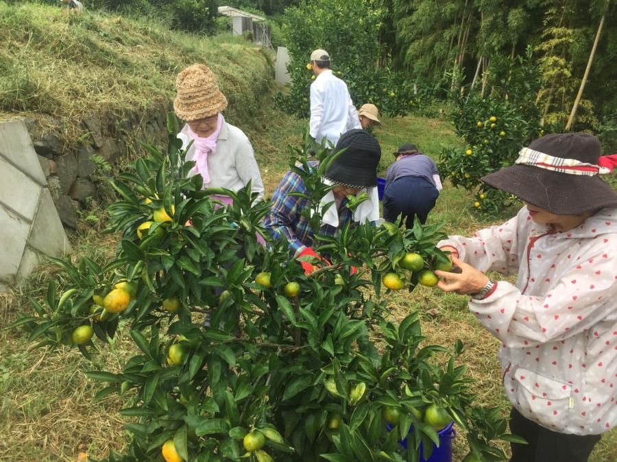 【無事完了：9/29（日）作業】支柱など