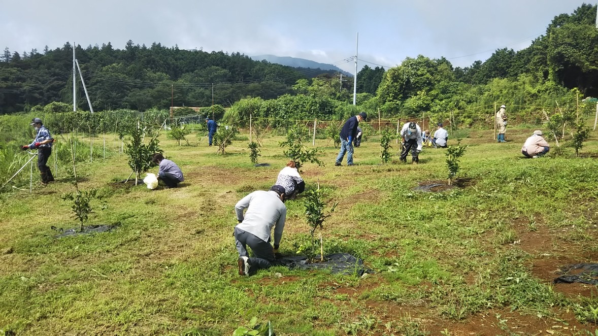 一夜城ファームで防虫対策や猪の防護柵設置を行い、久しぶりに爽やかな汗を流しました。