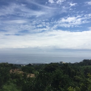 【日当たりの農園】ドローン空撮（テスト）