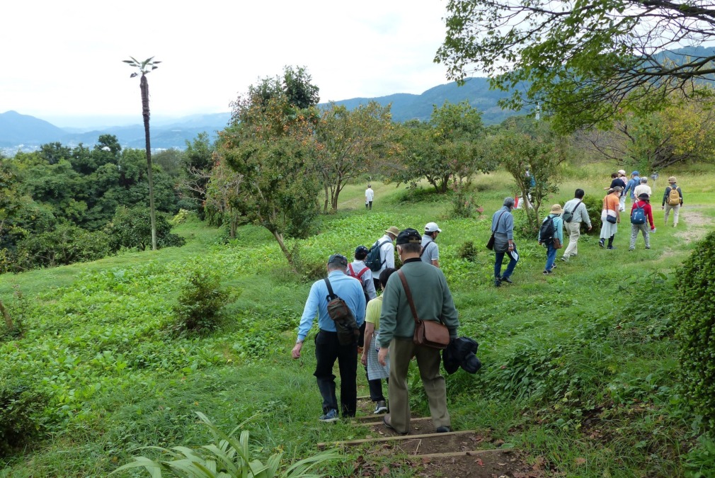 ビオトピアで野外月例集会♪♬