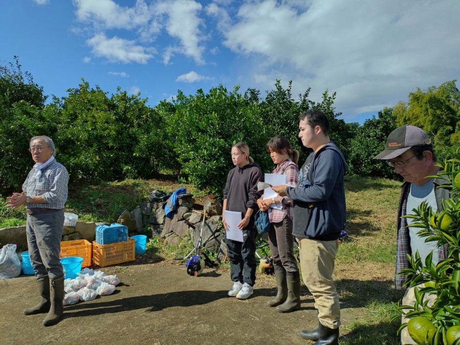 関東学院大学二宮ゼミの学生さんが、みかん畑を訪問してくれました！