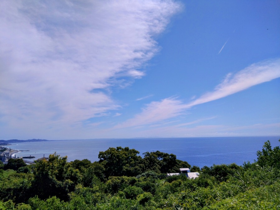 今日のごほうびは絶景！